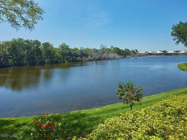 view of water feature