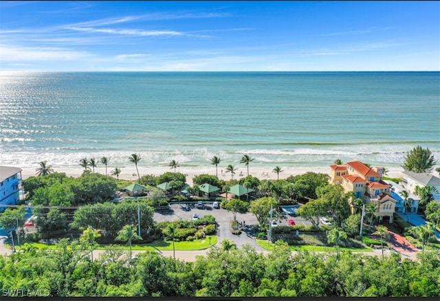 4021 Whiskey Pointe Ln Unit 202, Bonita Springs, FL 34134 - aerial view of extended coastline