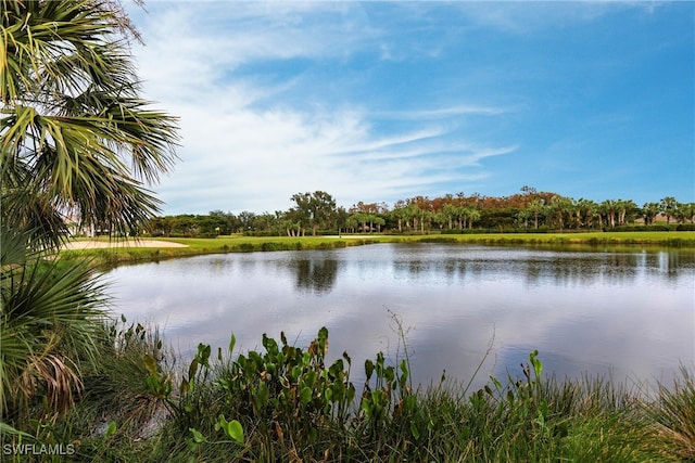 property view of water