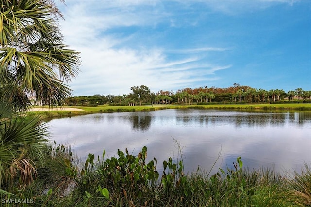 water view