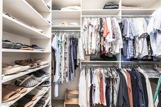 view of spacious closet