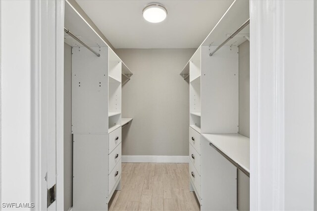 walk in closet featuring light hardwood / wood-style flooring