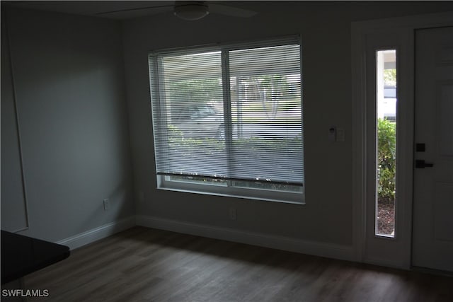 entryway featuring ceiling fan, hardwood / wood-style flooring, and a healthy amount of sunlight