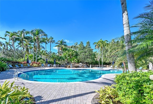 view of swimming pool featuring a patio area