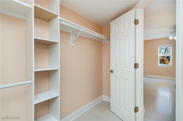 walk in closet featuring ceiling fan and light hardwood / wood-style floors