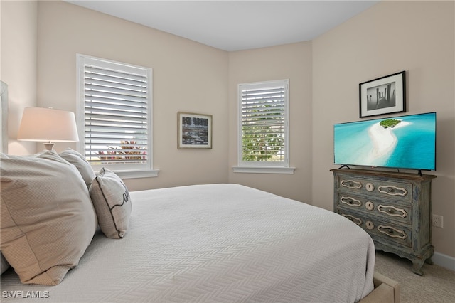 view of carpeted bedroom