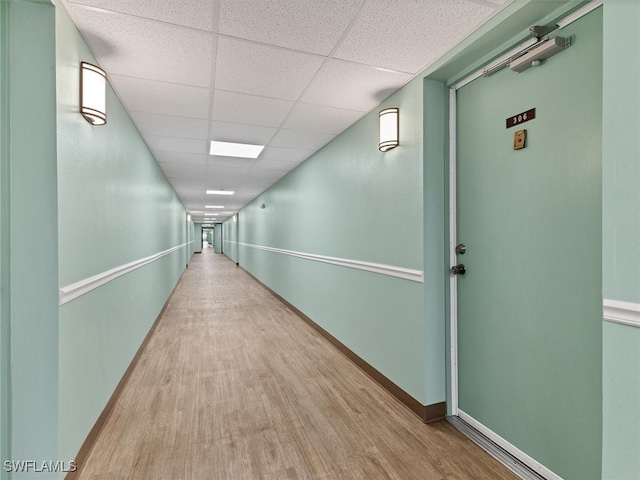 hallway featuring a drop ceiling and light wood-type flooring