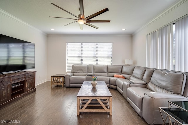 living room with dark wood-type flooring, crown molding, and ceiling fan