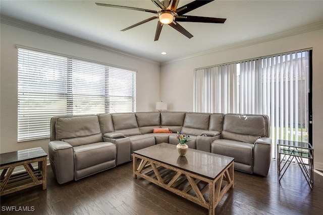 living room featuring crown molding, dark hardwood / wood-style floors, and ceiling fan