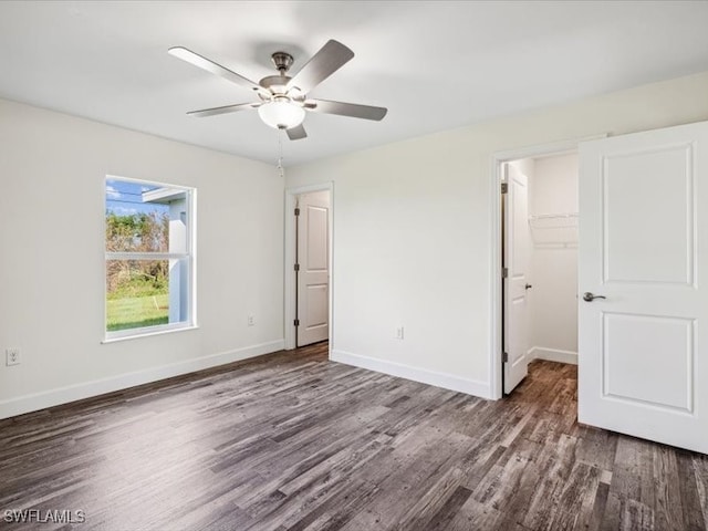 unfurnished bedroom with a closet, ceiling fan, dark hardwood / wood-style floors, and a walk in closet