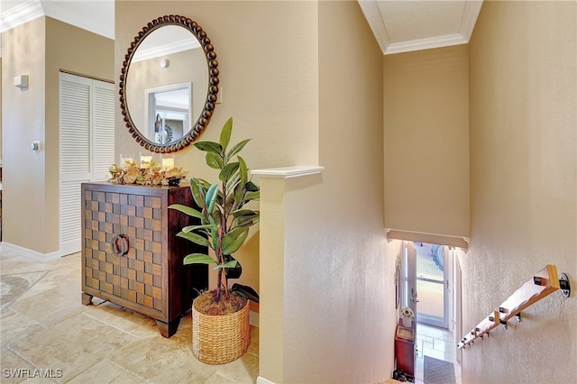 stairway with crown molding