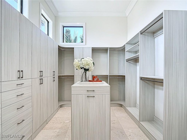 walk in closet featuring sink