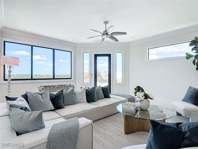 living room with crown molding and ceiling fan