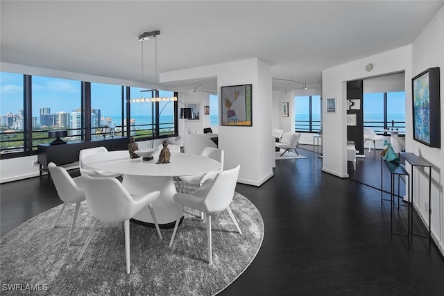 dining area featuring dark hardwood / wood-style flooring and a water view