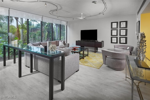 living room with ceiling fan and wood-type flooring