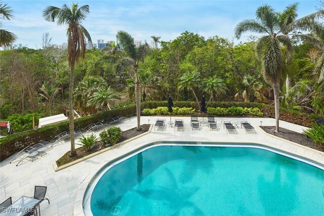 view of swimming pool with a patio