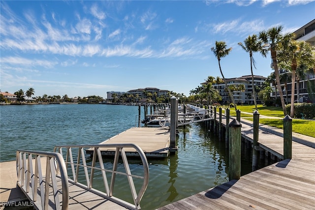 dock area with a water view