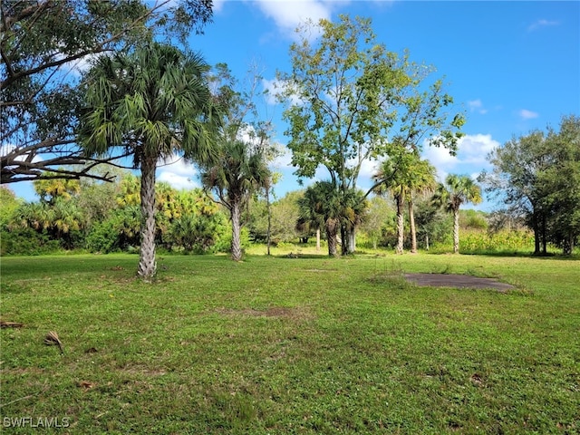 Listing photo 3 for 3100 Hendry Isles Blvd, Clewiston FL 33440