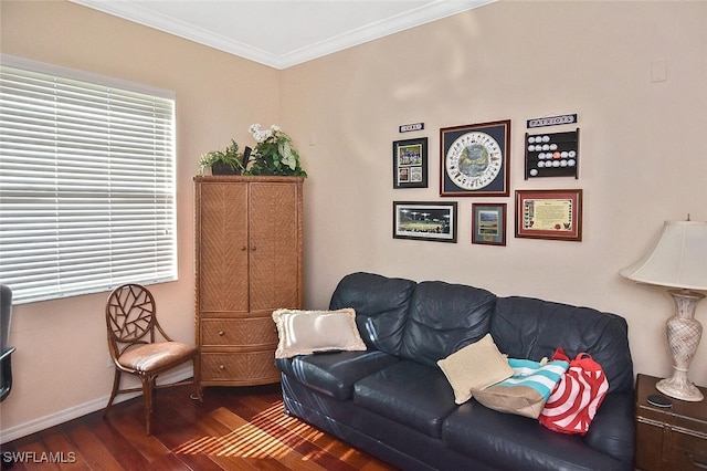 living room featuring crown molding and dark hardwood / wood-style flooring