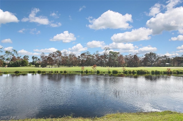 property view of water