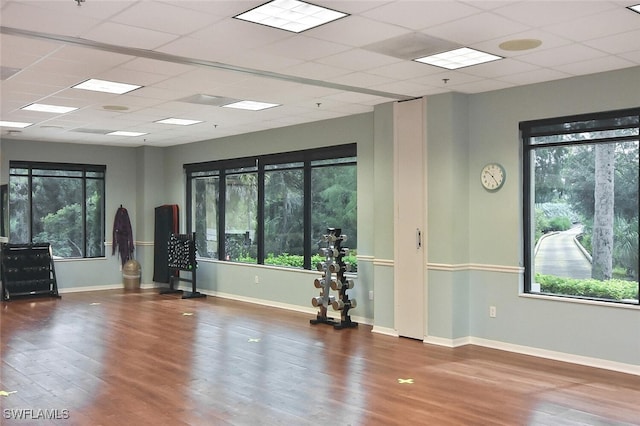 interior space with a paneled ceiling, hardwood / wood-style flooring, and plenty of natural light