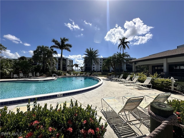 view of pool featuring a patio