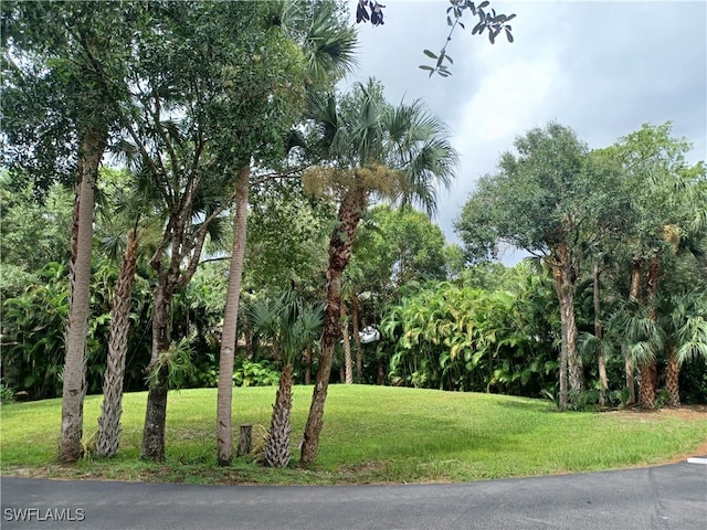 15671 Laurel Dawn Dr, Fort Myers FL, 33912 land for sale