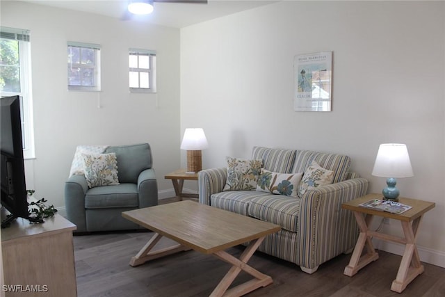 living room featuring dark hardwood / wood-style floors