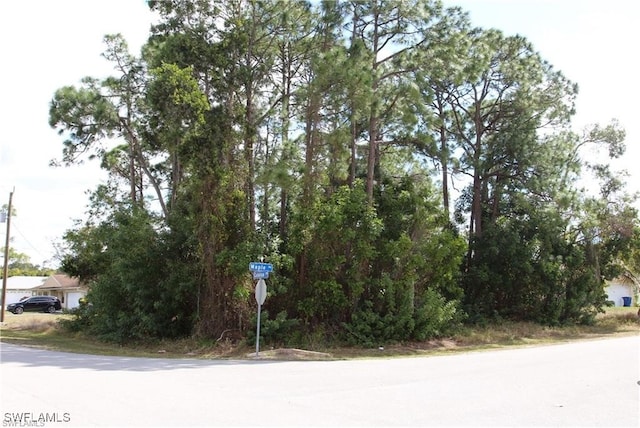 18205 Maple Rd, Fort Myers FL, 33967 land for sale