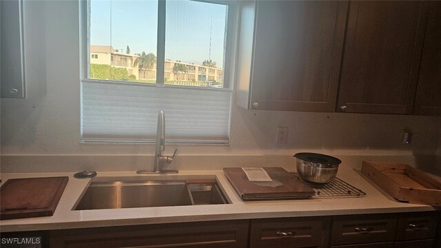 kitchen with sink, dark brown cabinets, and a healthy amount of sunlight