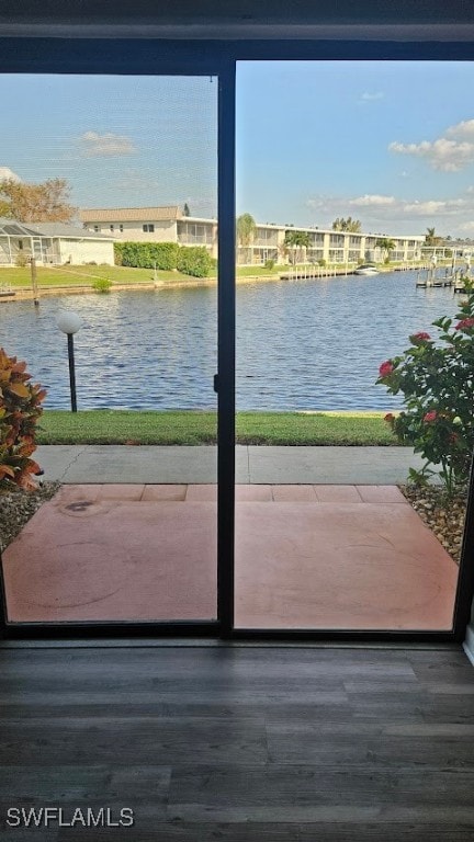 doorway with wood-type flooring and a water view