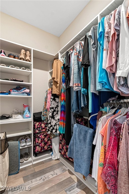 spacious closet with wood-type flooring