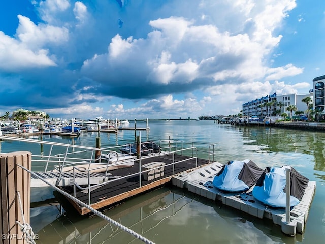 dock area with a water view