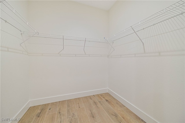 spacious closet with wood-type flooring