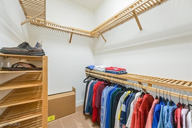 spacious closet featuring carpet