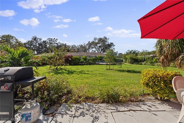 view of yard featuring a patio area