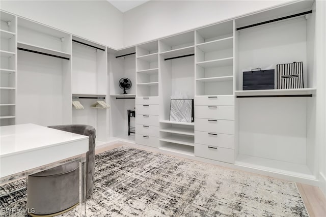 walk in closet featuring hardwood / wood-style floors