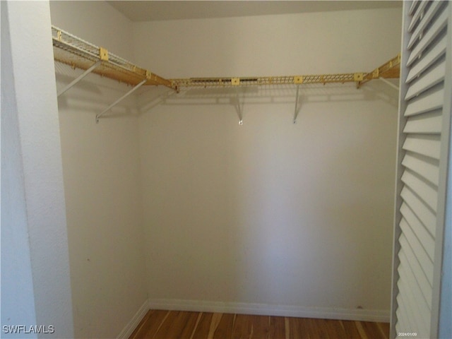 walk in closet with wood-type flooring