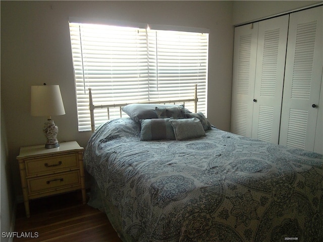 bedroom featuring a closet, multiple windows, and dark hardwood / wood-style floors