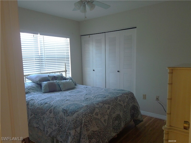 bedroom featuring a closet, dark hardwood / wood-style floors, and ceiling fan