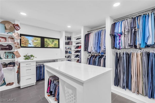 view of walk in closet