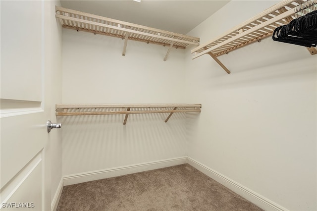 spacious closet with carpet flooring