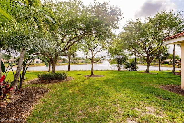 view of yard with a water view