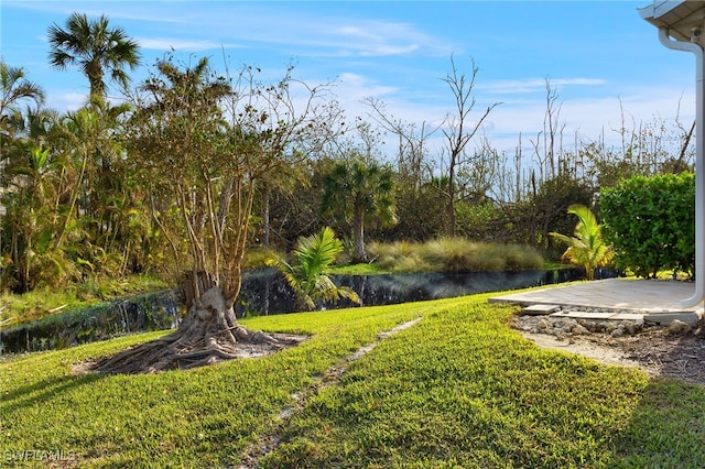 view of yard featuring a water view