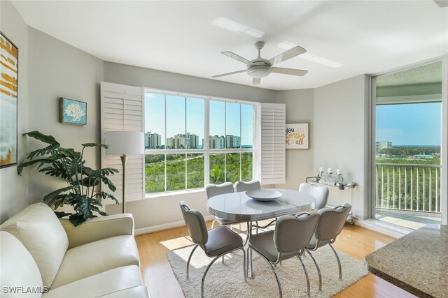 dining room featuring light hardwood / wood-style floors, plenty of natural light, and ceiling fan