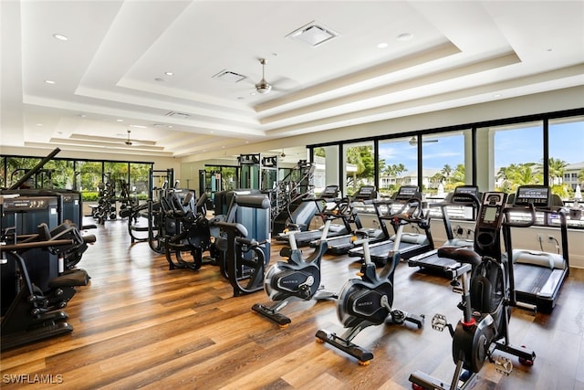 exercise room with hardwood / wood-style floors, a tray ceiling, and ceiling fan