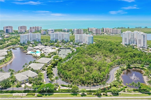 drone / aerial view with a water view