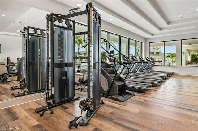 gym featuring a raised ceiling and hardwood / wood-style floors