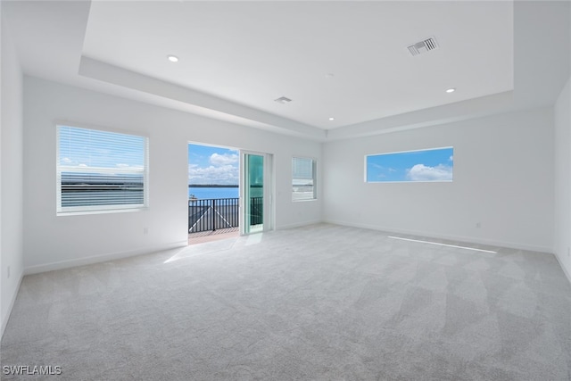 spare room with light carpet and a raised ceiling