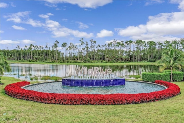 view of property's community with a water view and a yard